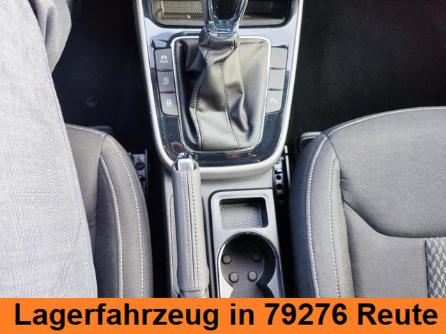 Skoda Fabia 130 Jahre Premium 85KW/116PS DSG-Automatik Einparkhilfe v+h Rückfahrkamera Totwinkel-Assistent Alufelgen 16" Sitzheizung Garantie 5 bis 100.000Km doppelter Ladeboden Klimaautomatik virtuelles Tacho 10" 