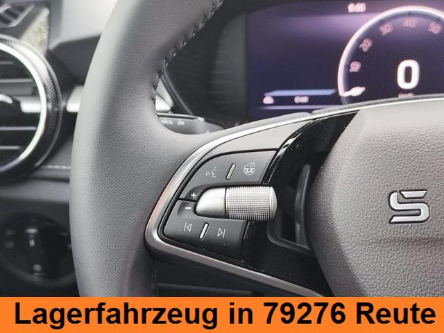 Skoda Fabia 130 Jahre Premium 85KW/116PS DSG-Automatik Einparkhilfe v+h Rückfahrkamera Totwinkel-Assistent Alufelgen 16" Sitzheizung Garantie 5 bis 100.000Km Klimaautomatik virtuelles Tacho 10" 