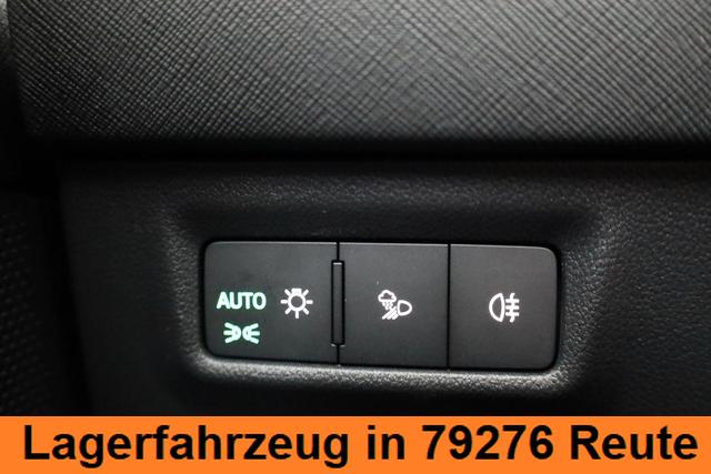 Skoda Kodiaq 2.0 TDI 142kW 4x4 Selection DSG Selection, AHK, Navi, Side, el. Klappe, AreaView, ParkAssist 