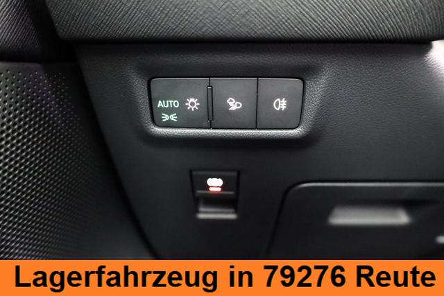 Skoda Kodiaq 2.0 TDI 142 kW 4x4 Selection DSG Selection, 7-Sitzer, AHK, Navi, Side, Kamera, Winter, 19-Zoll 