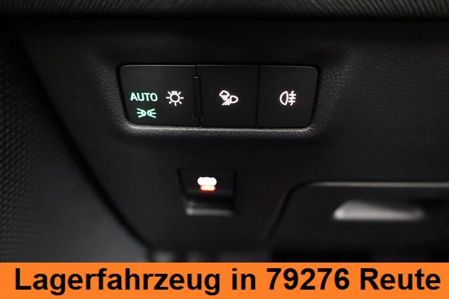 Skoda Kodiaq 2.0 TDI 142kW 4x4 Selection DSG Selection, AHK, Navi, Side, el. Klappe, AreaView, ParkAssist 