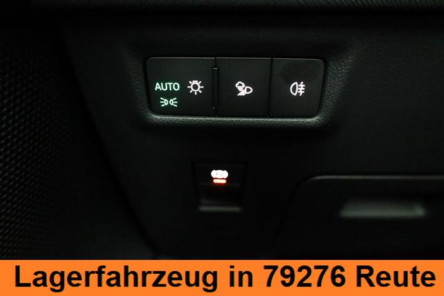 Skoda Kodiaq 2.0 TDI 142 kW 4x4 Selection DSG Selection, 7-Sitzer, AHK, Navi, Side, Kamera, Winter, 19-Zoll 