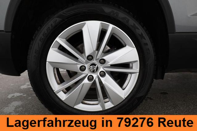 Skoda Karoq Drive 4x4 2.0 TDI DSG Drive, AHK, Matrix, Pano, Winter, el. Klappe 
