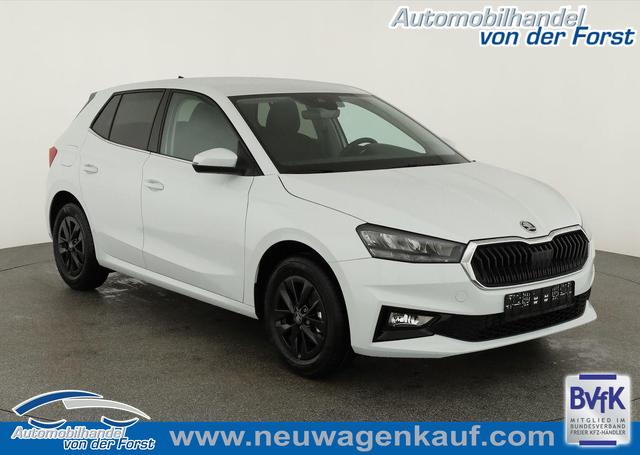 Skoda Fabia - Selection 1.0 TSI Selection, 15-Zoll schwarz, Winter, Ladeboden