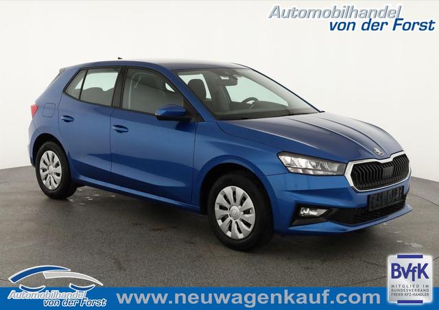Skoda Fabia - Selection 1.0 TSI Selection, Park, Winterpaket, SmartLink, 4-J Garantie