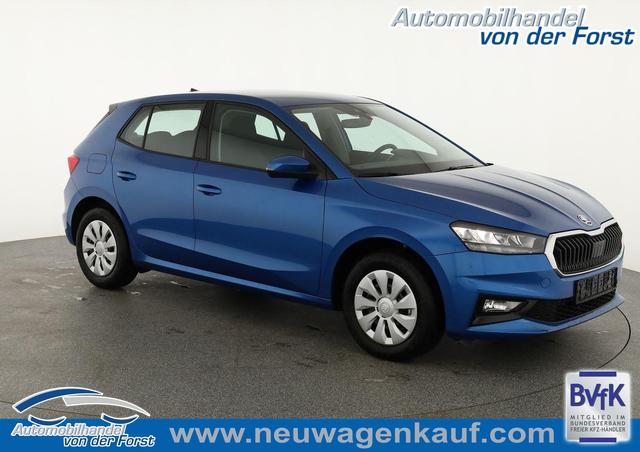 Skoda Fabia - Selection 1.0 TSI Selection, Ladeboden, Park, Winterpaket, SmartLink, 4-J Garantie