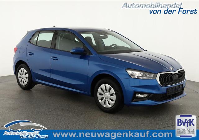 Skoda Fabia - Selection 1.0 TSI Selection, Tempomat, Ladeboden, Park, Winterpaket, SmartLink, 4-J Garantie