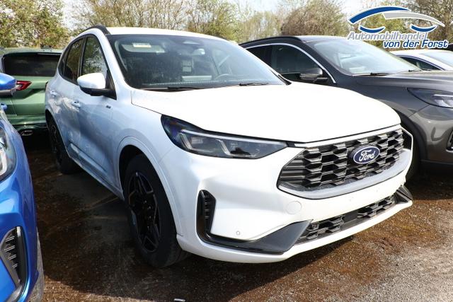 Ford Kuga ST-Line Kuga Aut ST-Line HUD Matrix WinterP Nav Kam 19Z 