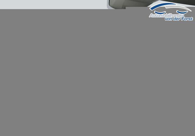 Volkswagen Crafter Crafter 35 L4H3 4M 3S AHK Temp AppCo 2xPDC 