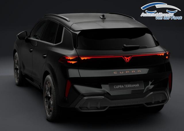 Cupra Terramar Terramar DSG Matrix IntelliD Dinamica Edge 360&deg; 