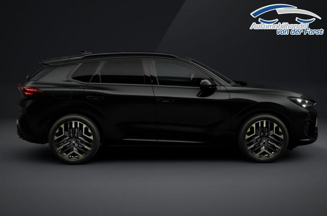 Cupra Terramar Tribe Edition Terramar DSG Tribe HeadUp 360&deg; Sennh el.Hk ParkA 