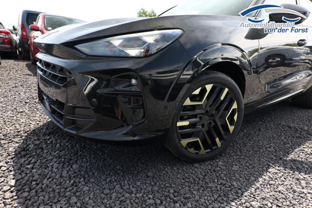 Cupra Terramar Tribe Edition Terramar DSG Tribe HeadUp 360&deg; Sennh el.Hk ParkA 