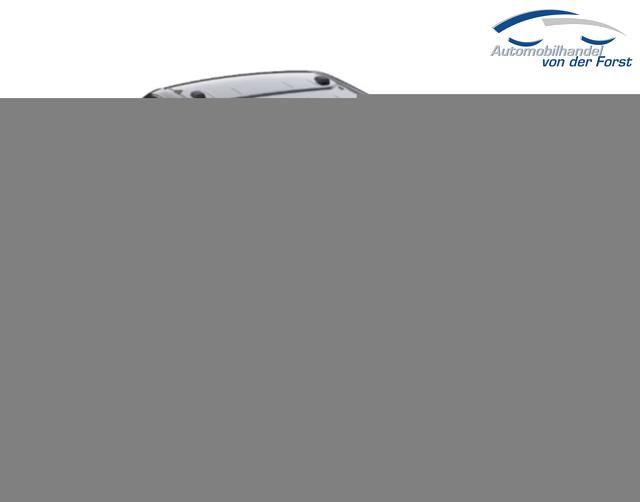 Ford Transit Custom Trail Aut AWD Trail L2 Nav SHZ 17Z 3-S 