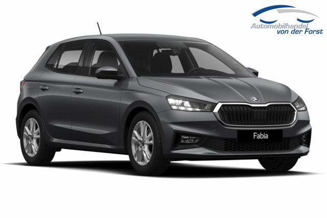 Skoda Fabia Selection DSG Selec Kessy Kam SHZ SunS Temp 5J/100k 