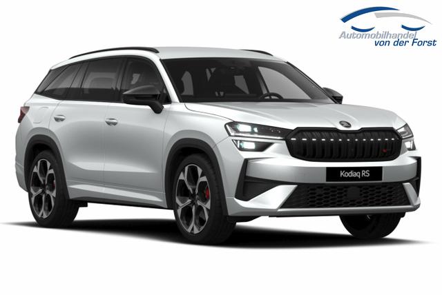 Skoda Kodiaq RS RS AHK Matrix DCC SHZhi Canton ACC elHeck 