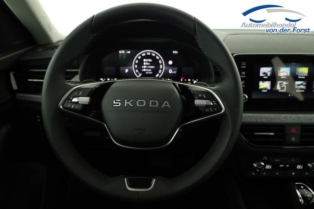 Skoda Kamiq Selection Kamiq 1.5 TSI DSG Selection, LED, Kamera, Ladeboden, Winter 