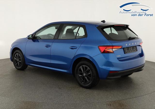 Skoda Fabia Selection 1.0 TSI Selection, LED, Kamera, Winter, 5 J.-Garantie 