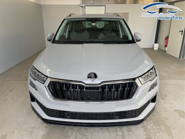 Skoda / Karoq / Grau / / / 150PS TDI DSG 4x4 AHK+Navi+ACC+Kamera+Sitzheiz+eHeck+GV5