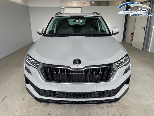 Skoda / Karoq / Grau / / / 150PS DSG AHK+Kamera+ACC+Kessy+Kamera+ParkPilot vo+hi+App
