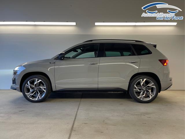 Skoda / Karoq / Grau / / / TSI 4x4 360&deg;+19 Zoll+Navi+AHK+360&deg;+ACC+Frontscheibe beheizbar+Travel Assist