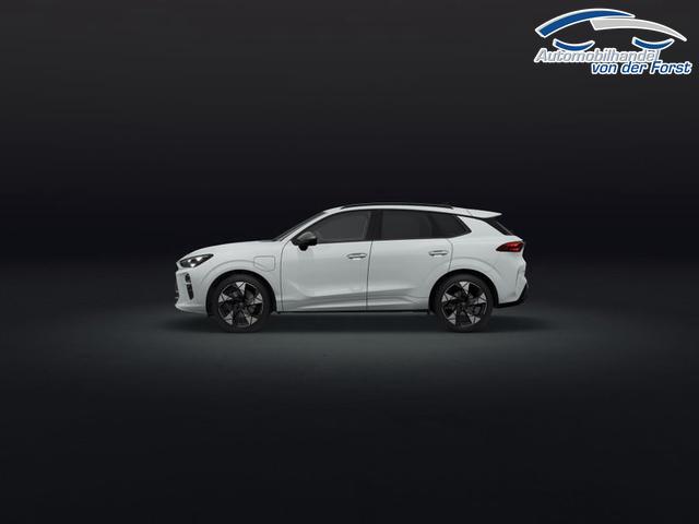 Cupra Terramar e-HYBRID 1.5 e-HYBRID 150 kW (204 PS) 6-Gang-DSG Terramar 