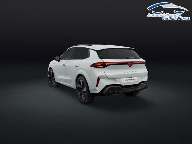 Cupra Terramar e-HYBRID 1.5 e-HYBRID 150 kW (204 PS) 6-Gang-DSG Terramar 
