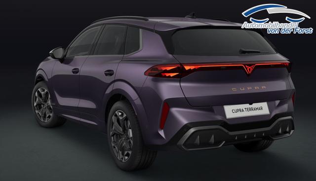 Cupra Terramar VZ 2.0 TSI 195 kW (265 PS) 7-Gang DSG 4Drive Terramar 