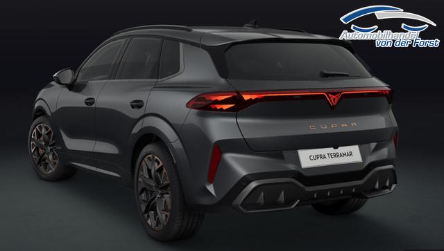 Cupra Terramar VZ 2.0 TSI 195 kW (265 PS) 7-Gang DSG 4Drive Terramar 