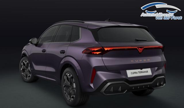 Cupra Terramar VZ 2.0 TSI 195 kW (265 PS) 7-Gang DSG 4Drive Terramar 