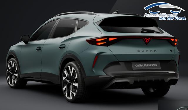 Cupra Formentor VZ 2.0 TSI 7-Gang-DSG 4Drive Formentor 