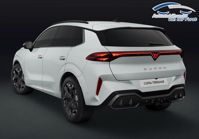 Cupra Terramar VZ 2.0 TSI 7-Gang-DSG 4Drive Terramar 