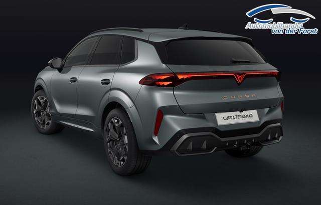 Cupra Terramar VZ 2.0 TSI 7-Gang-DSG 4Drive Terramar 