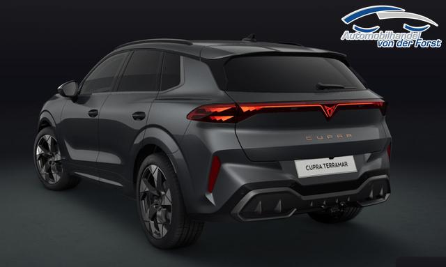 Cupra Terramar Basis 1.5 eTSI 7-Gang-DSG Terramar 
