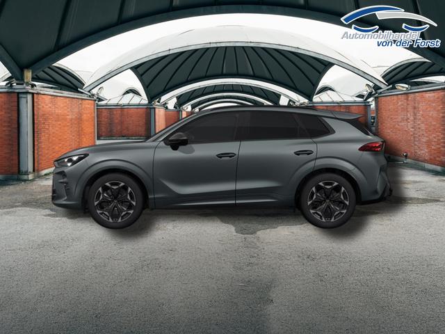 Cupra Terramar VZ 2.0 TSI 7-Gang-DSG 4Drive Terramar 