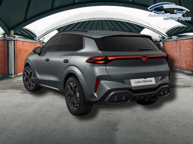 Cupra Terramar VZ 2.0 TSI 7-Gang-DSG 4Drive Terramar 