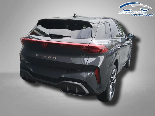 Cupra Terramar VZ 2.0 TSI 7-Gang-DSG 4Drive Terramar 