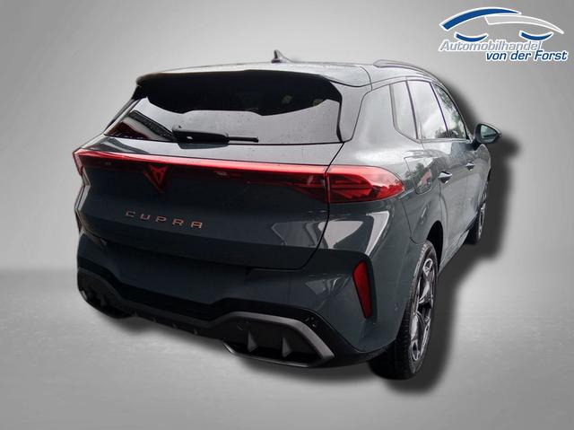 Cupra Terramar VZ 2.0 TSI 7-Gang-DSG 4Drive Terramar 