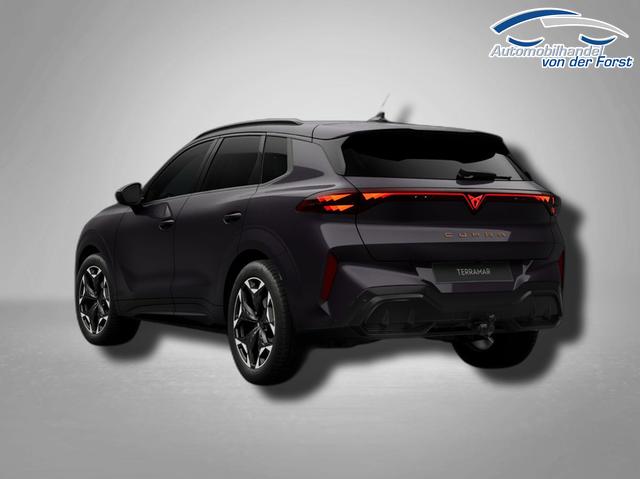 Cupra Terramar 1.5 eTSI 7-Gang-DSG Terramar 