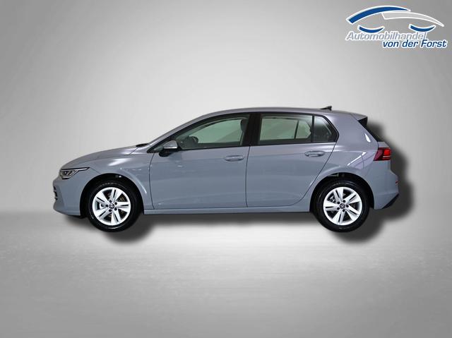 Volkswagen Golf Mondsteingrau 1.5 TSI Golf 