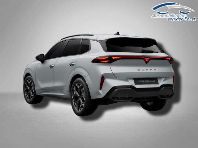 Cupra Terramar VZ 2.0 TSI Terramar 