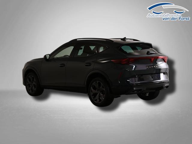 Cupra Formentor 2.0 TSI 7-Gang-DSG 4Drive 