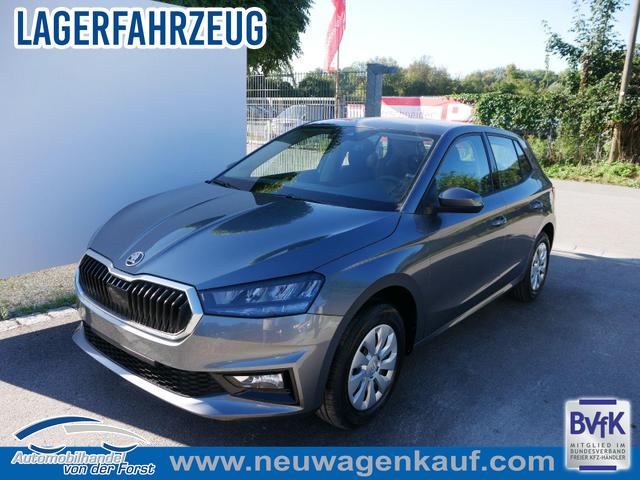 Skoda Fabia - Selection Fabia Selection 1.0 TSI *NAVI-&Uuml;BER-SMARTLINK*PDC-HI*LED*SHZ*KLIMA*RADIO