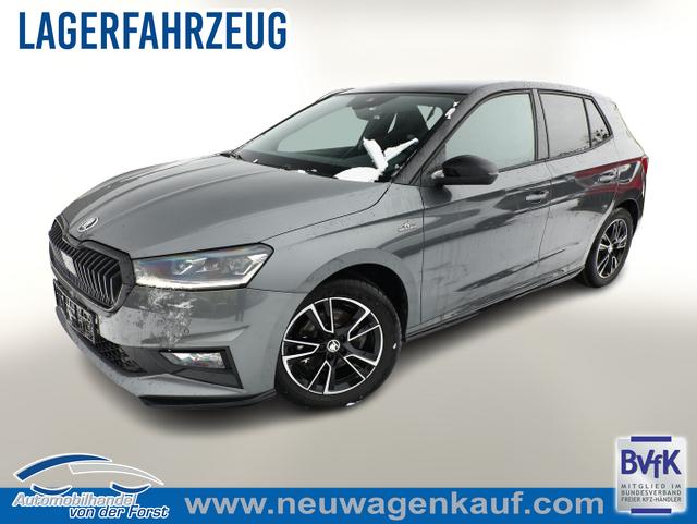 Skoda Fabia - Monte Carlo Fabia DSG MonteC Pano Kessy Kam 5J/100k SHZ Temp