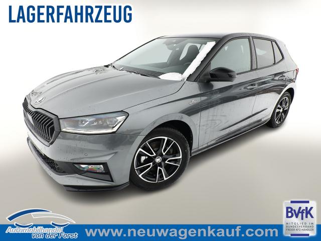 Skoda Fabia - Monte Carlo Fabia DSG MonteC Pano Kessy Kam 5J/100k SHZ Temp