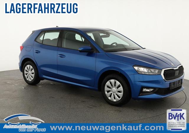 Skoda Fabia - Selection Fabia 1.0 TSI Selection, Ladeboden, Park, Winterpaket, SmartLink, 4-J Garantie