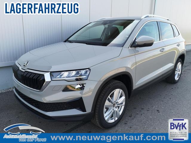 Skoda Karoq - Selection Karoq 2.0 TDI Selection DSG GV5 AHK 17
