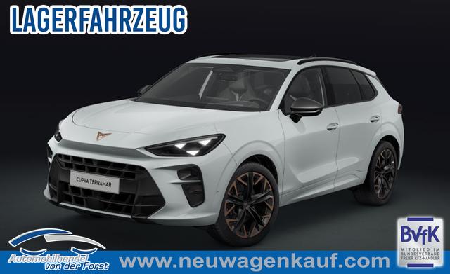 Cupra Terramar - VZ 2.0 TSI 195 kW (265 PS) 7-Gang DSG 4Drive Terramar