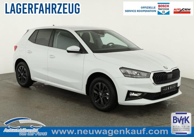 Skoda Fabia - Selection Fabia 1.0 TSI DSG Selection, 15-Zoll schwarz, Winter, Ladeboden