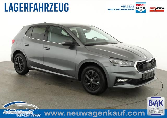 Skoda Fabia - Selection Fabia 1.0 TSI DSG Selection, 15-Zoll schwarz, Winter, Ladeboden