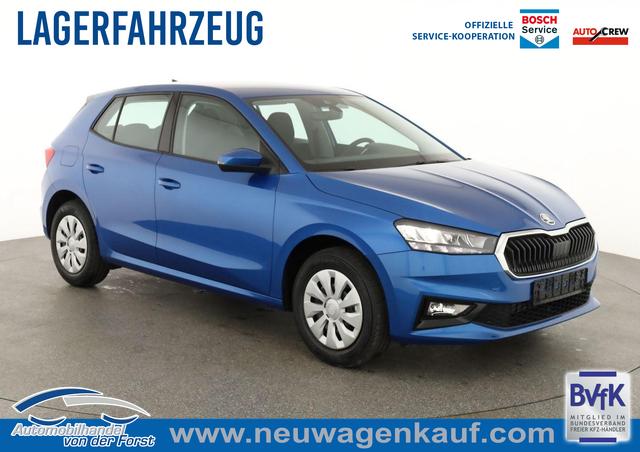 Skoda Fabia - Selection Fabia 1.0 TSI Selection, Tempomat, Park, Winterpaket, SmartLink, 4 J.-Garantie